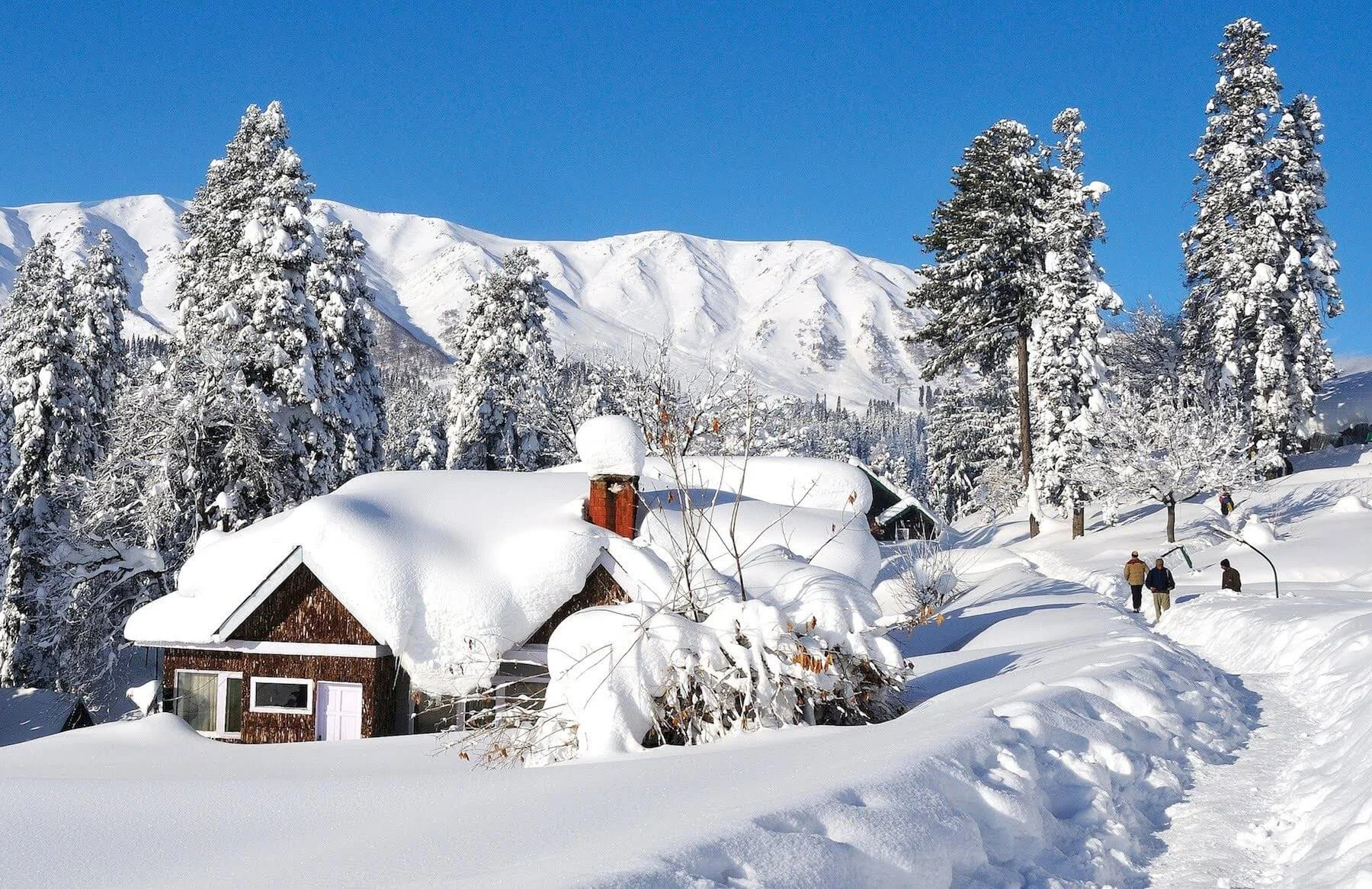 Gulmarg tour packages