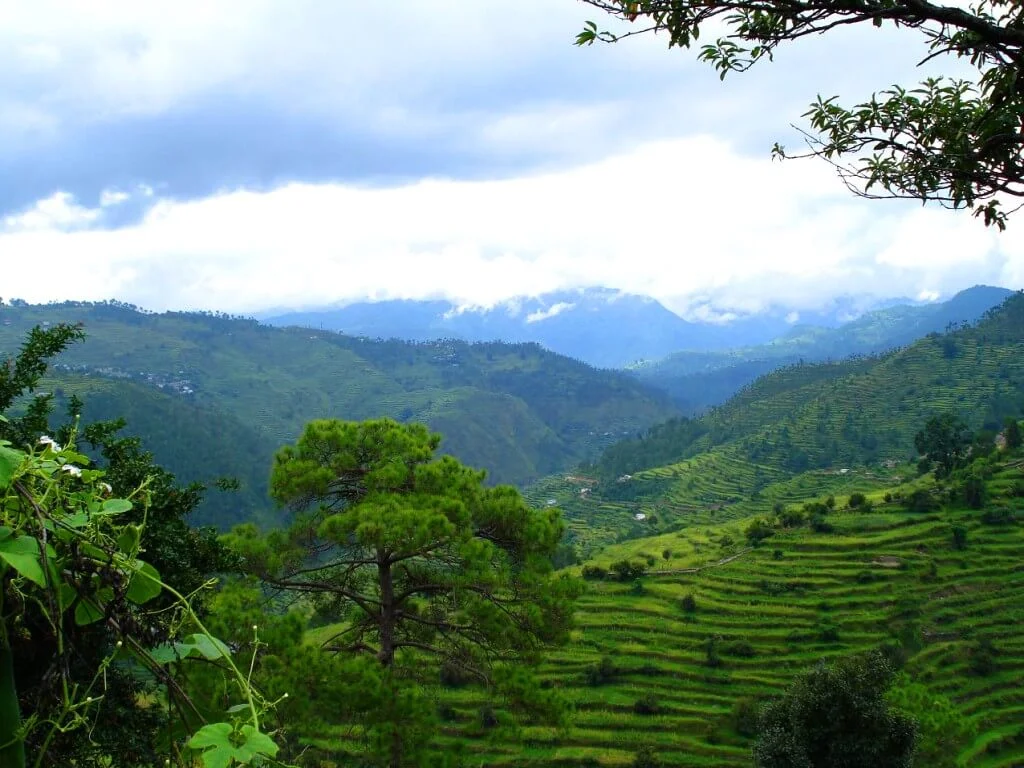 Ranikhet tour packages