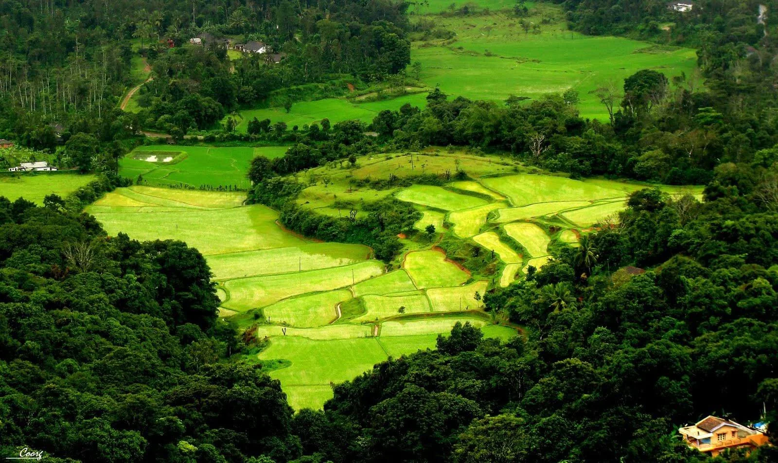 Coorg tour packages