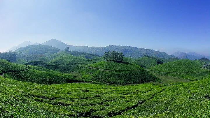 Kerala tour packages