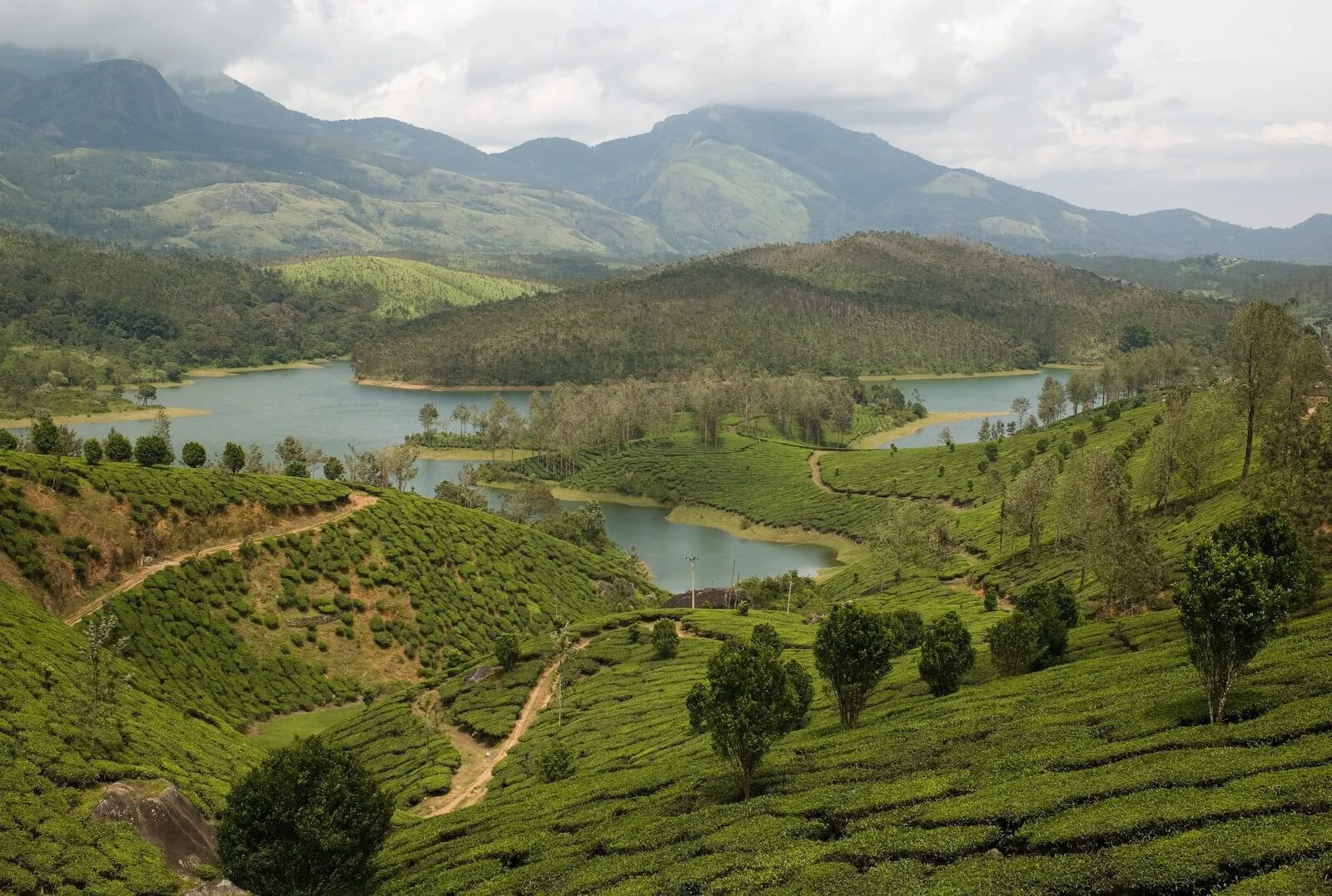Yelagiri tour packages