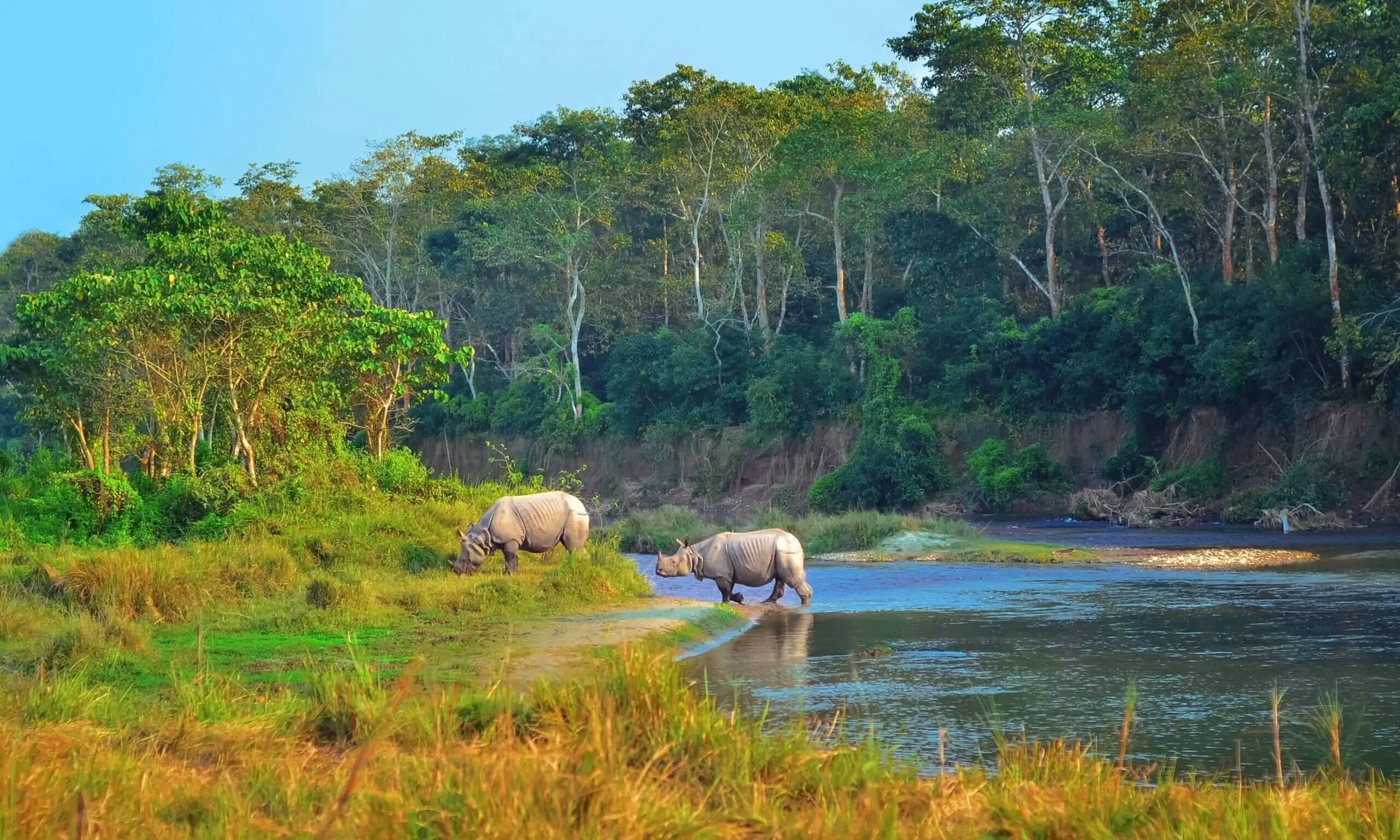 Chitwan Tour Package From Lucknow
