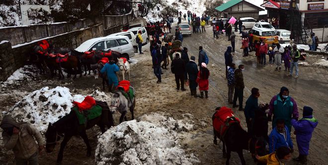 Snowfall At Kufri Cheers Tourists, Tour Operators