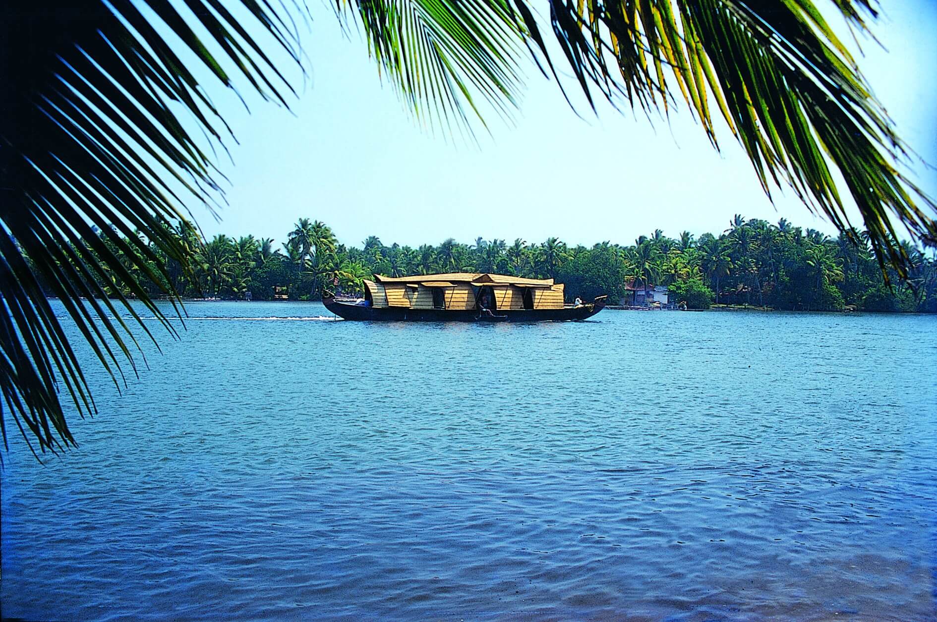 Vibrant Kerala Honeymoon Package