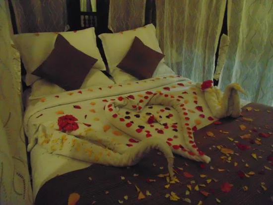 Mount Abu Honeymoon Tour Package With Udaipur