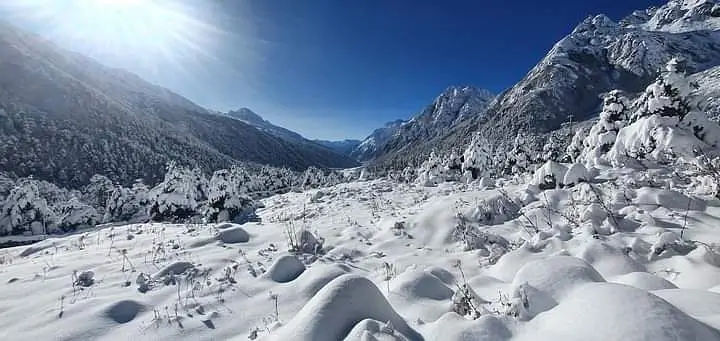 Gangtok Lachung And Darjeeling Tour Package