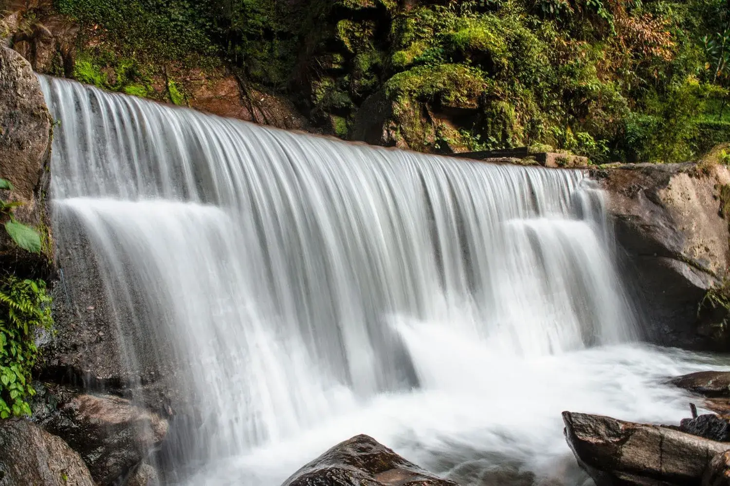 Darjeeling Gangtok Tour Package From Patna By Train