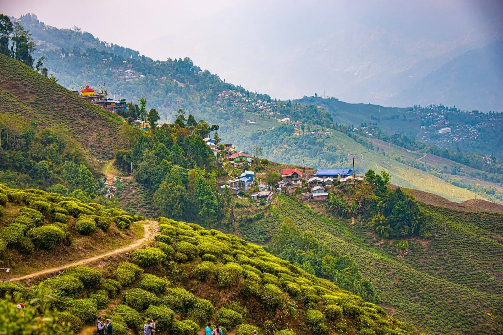 Darjeeling Gangtok Tour Package From Hyderabad By Flight