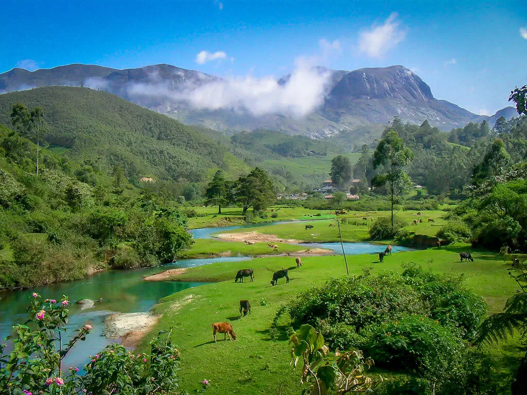 Kerala Munnar Thekkady Alleppey Tour Package From Mumbai By Flight