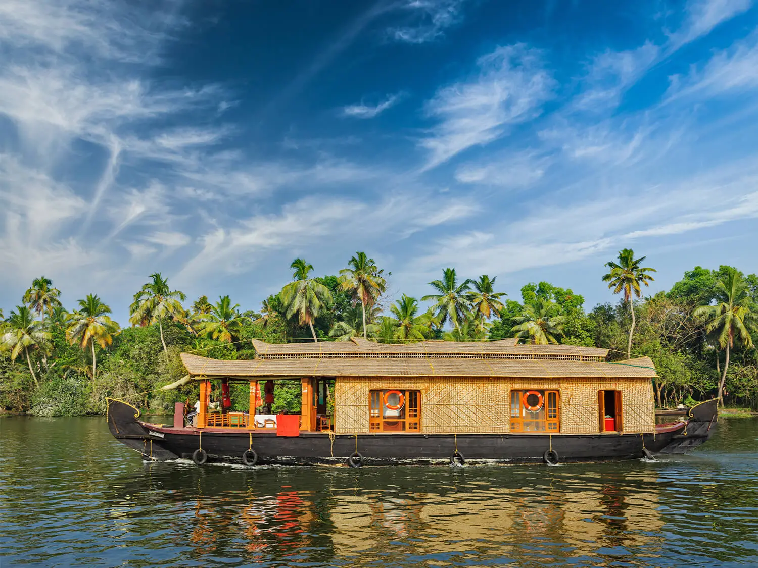 Kerala Munnar Thekkady Alleppey Kovalam Tour Package