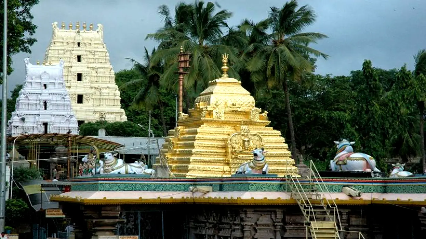 Mallikarjuna Jyotirlinga Srisailam Tour Package From Delhi By Train