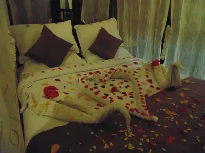 Mount Abu Honeymoon Tour Package With Udaipur