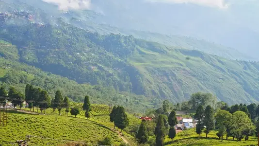 Darjeeling Gangtok Tour Package With Lachung