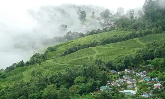 Darjeeling Gangtok Tour Package From Ahmedabad By Flight
