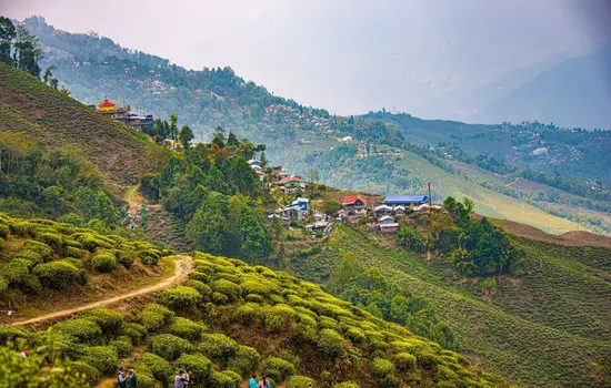 Darjeeling Gangtok Tour Package From Hyderabad By Flight